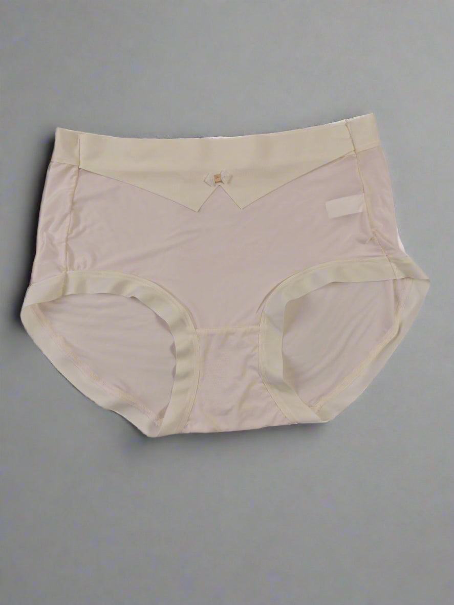 Ultra Soft Nylon Comfort Panty - Colors Available