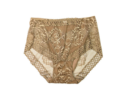 Beige lace underwear on a white background